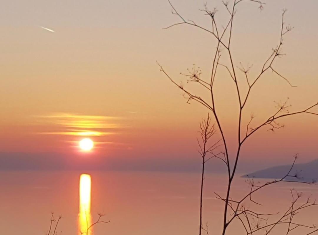 Apartment Dora Makarska Zewnętrze zdjęcie