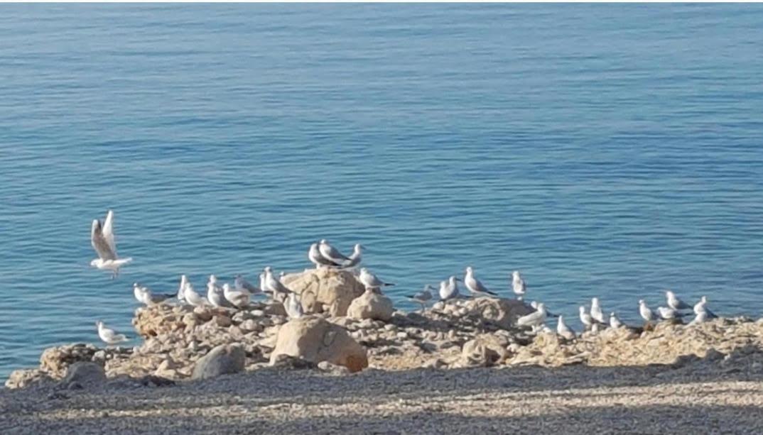 Apartment Dora Makarska Zewnętrze zdjęcie