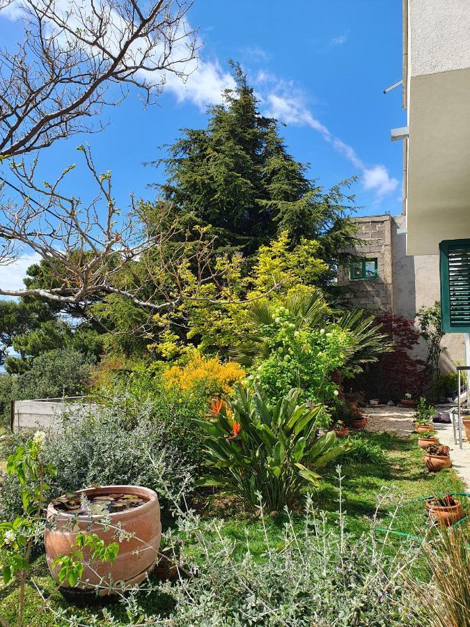 Apartment Dora Makarska Zewnętrze zdjęcie