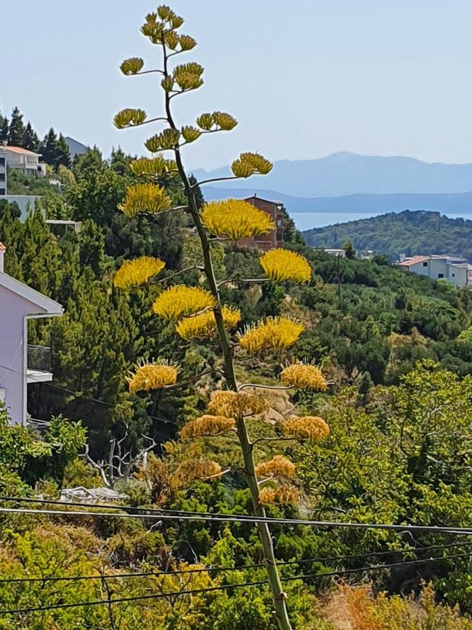 Apartment Dora Makarska Zewnętrze zdjęcie