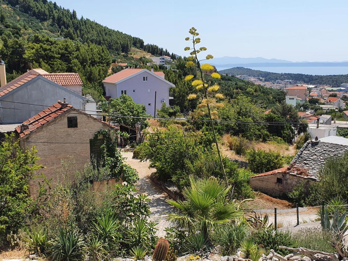 Apartment Dora Makarska Zewnętrze zdjęcie