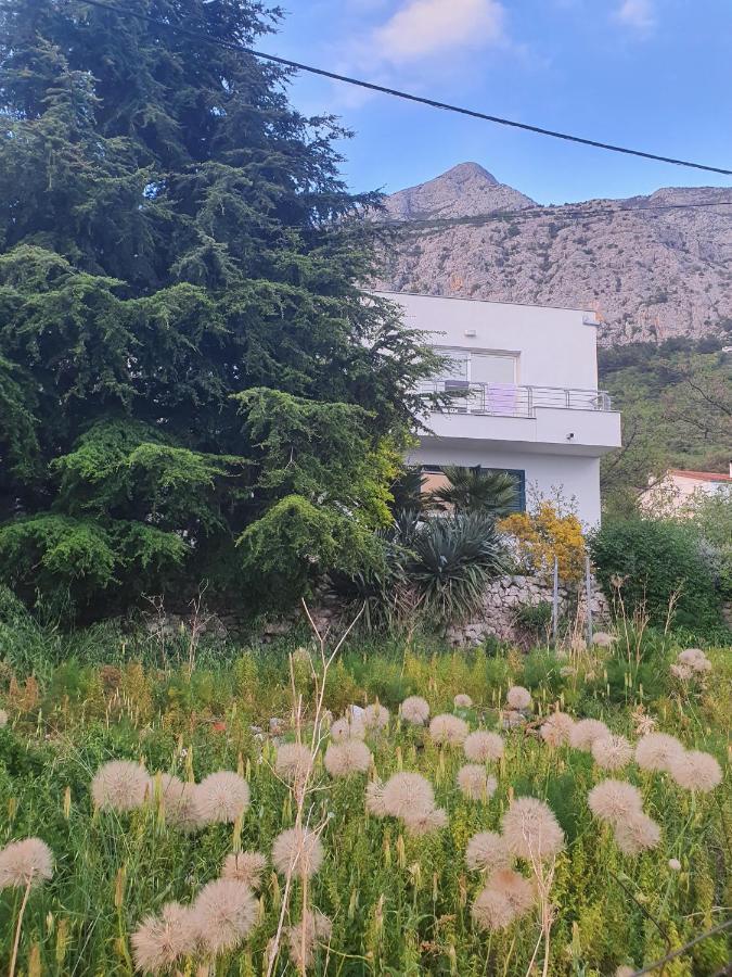 Apartment Dora Makarska Zewnętrze zdjęcie